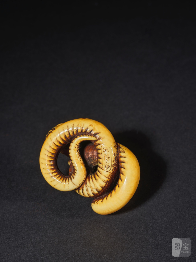 象牙彫根付 蛇蛙 銘「玉陽齋」 19世紀中期 | NETSUKE EN IVOIRE REPRÉSENTANT UN SERPENT ATTRAPANT UN CRAPAUD - 图12